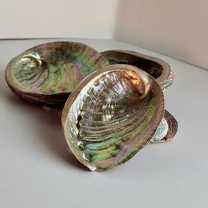 Iridescent Abalone Shells for Smudging or Decor